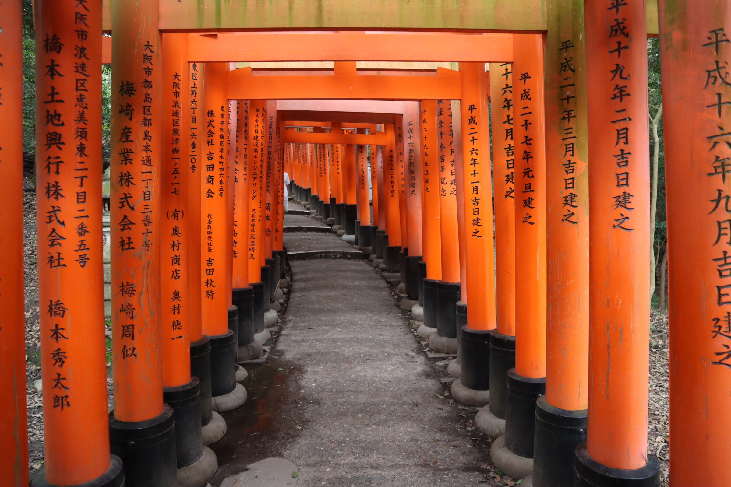 Kyoto 74
