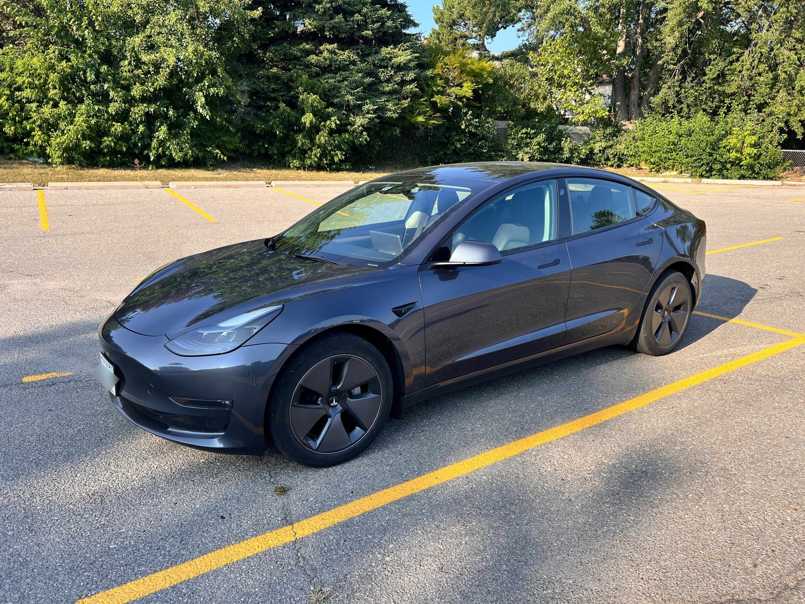 turo tesla 3